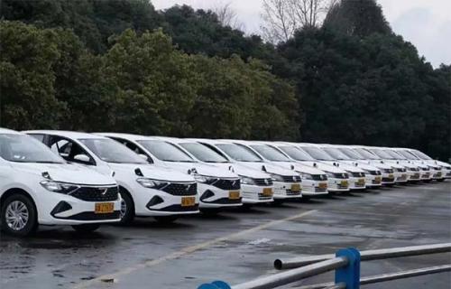 c6驾照可以开什么车型